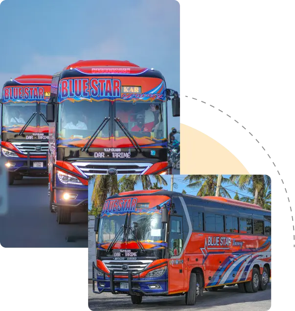 Blue Star Bus 1